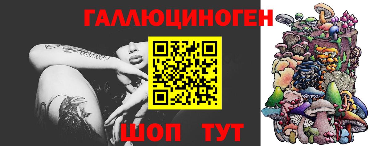 Кимовск  Псилоцибиновые грибы мухоморы  Псилоцибиновые грибы Psilocybe  где купить   Вход с VPN 